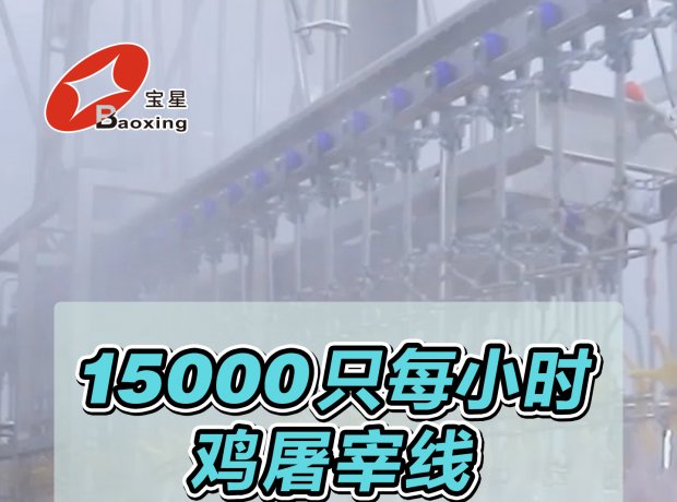 时宰 15000 羽全自动家禽屠宰线，高效投产！