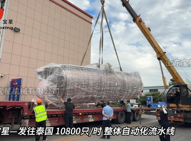 山东巅峰国际官网公司—发往泰国 10800只/时 整体自动化流水线